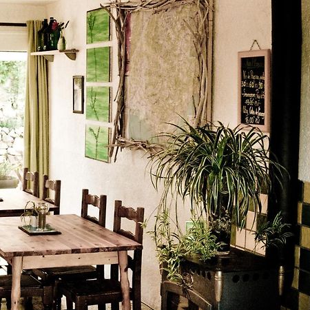 Gite De La Baume , Aux Delices Du Verdon 卡斯特拉讷 外观 照片